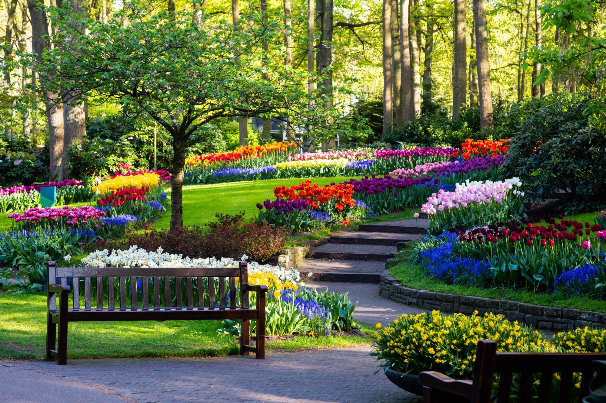 KEUKENHOF Inglard Voyages