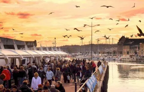 Image de mise en avant pour DIEPPE, FETE DE LA COQUILLE ST JACQUES