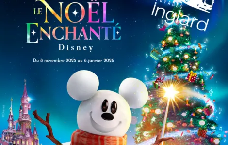 Image de mise en avant pour DISNEYLAND PARIS FEERIE DE NOEL