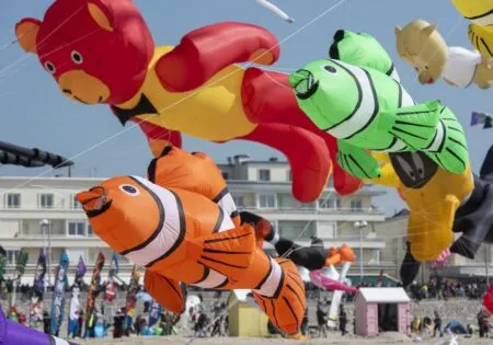 BERCK SUR MER – LES CERFS-VOLANTS