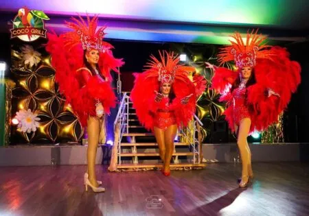 DINER SPECTACLE AU COCO GRILL