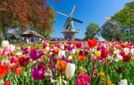 Image de mise en avant pour KEUKENHOF