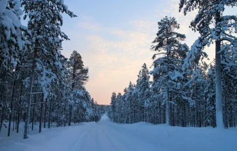 Image de mise en avant pour LAPONIE SUEDOISE