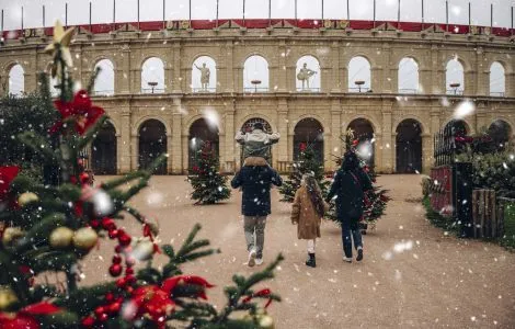 Image de mise en avant pour NOËL AU PUY DU FOU