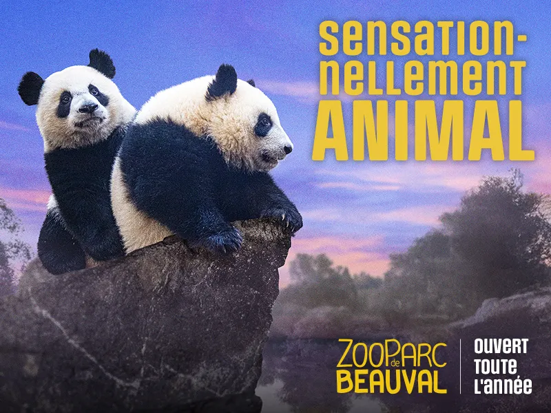 NOUVEL AN AU ZOOPARC DE BEAUVAL