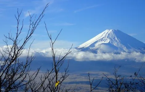 Image de mise en avant pour CIRCUIT LE JAPON DES SAMOURAÏS