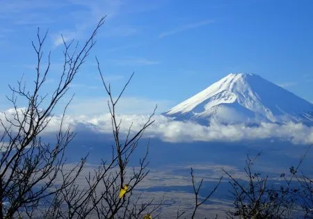 CIRCUIT LE JAPON DES SAMOURAÏS