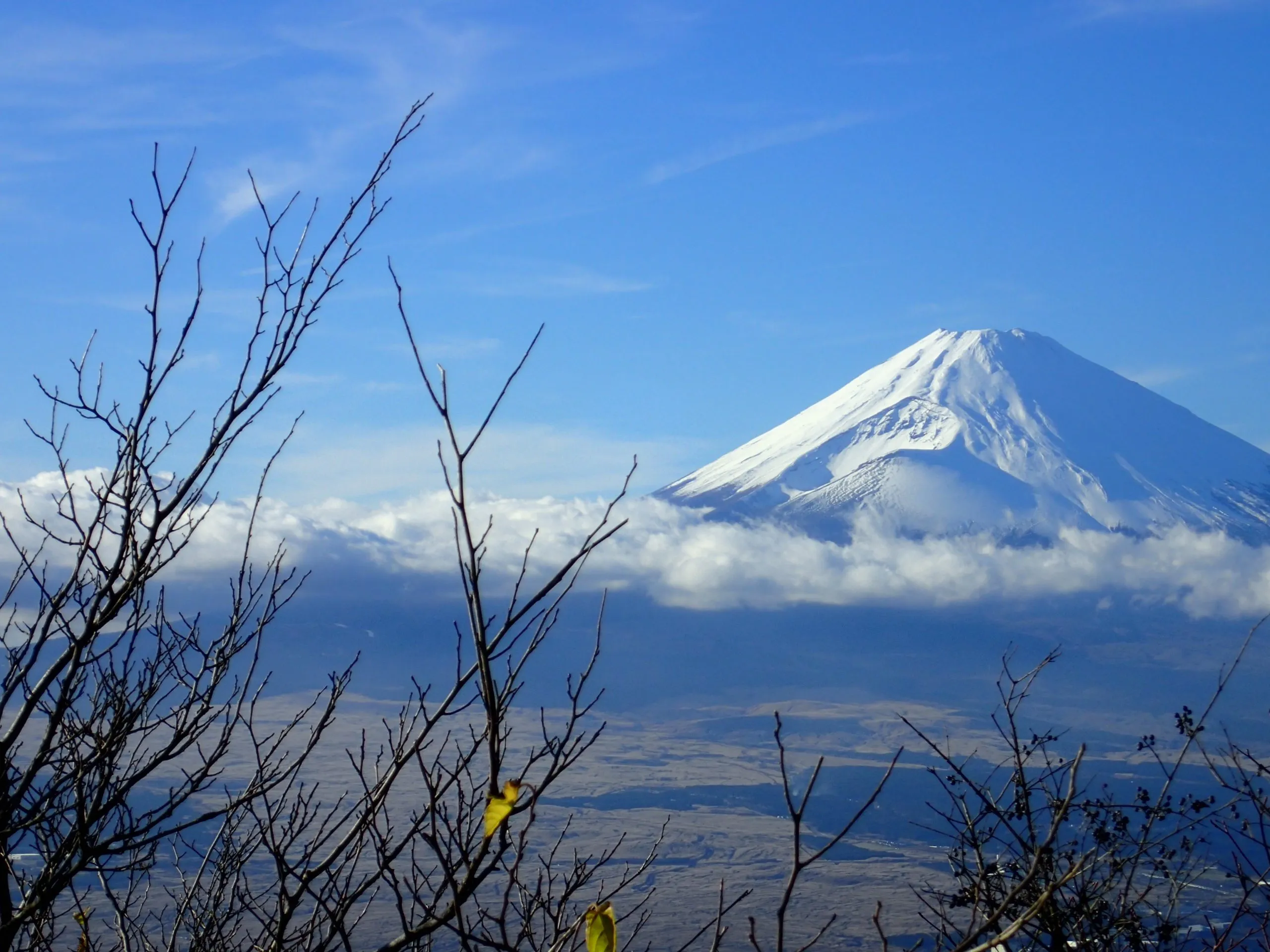 CIRCUIT LE JAPON DES SAMOURAÏS