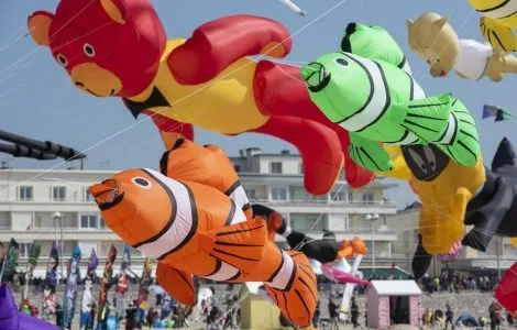 Image de mise en avant pour BERCK SUR MER - LES CERFS-VOLANTS